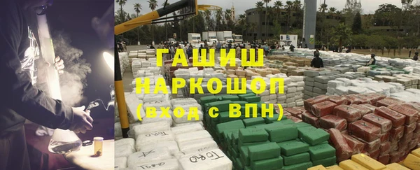 сатива Белокуриха